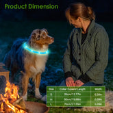 GlowPaw™ LED Safety Collar