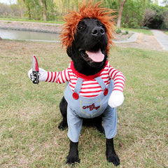 BooPaw™ Halloween Dog Costume