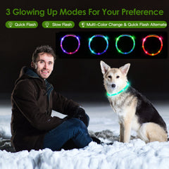 GlowPaw™ LED Safety Collar