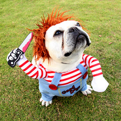 BooPaw™ Halloween Dog Costume