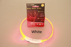 GlowPaw™ Safety Collar