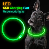 GlowPaw™ Safety Collar
