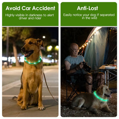 GlowPaw™ LED Safety Collar