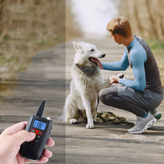 BarkGuard™ Smart Collar