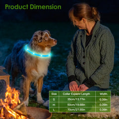 GlowPaw™ LED Safety Collar