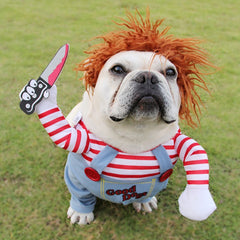 BooPaw™ Halloween Dog Costume