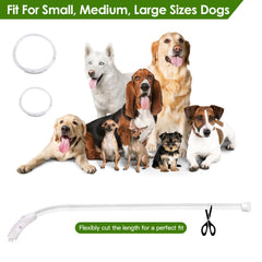 GlowPaw™ LED Safety Collar