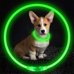 GlowPaw™ Safety Collar