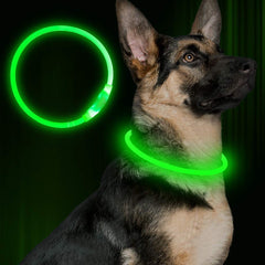 GlowPaw™ Safety Collar